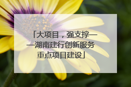 大项目，强支撑——湖南建行创新服务重点项目建设
