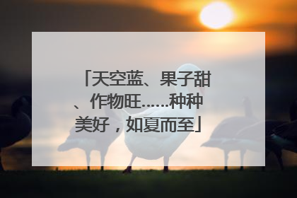 天空蓝、果子甜、作物旺……种种美好，如夏而至
