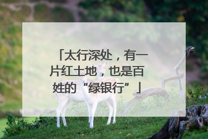 太行深处，有一片红土地，也是百姓的“绿银行”