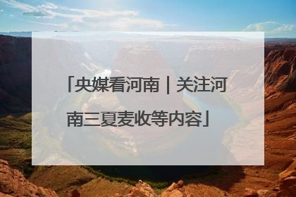 央媒看河南｜关注河南三夏麦收等内容