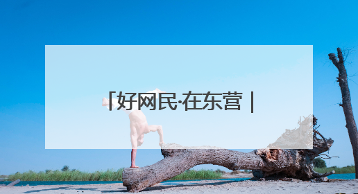 好网民·在东营｜孙雪慧：以“网”为媒传税音 以“屏”为介助发展
