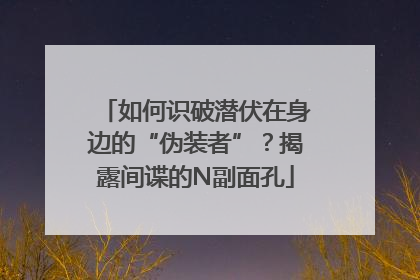 如何识破潜伏在身边的“伪装者”？揭露间谍的N副面孔