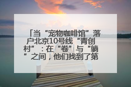 当“宠物咖啡馆”落户北京10号线“青创村”：在“卷”与“躺”之间，他们找到了第三种生活公式
