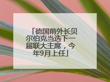 德国前外长贝尔伯克当选下一届联大主席，今年9月上任