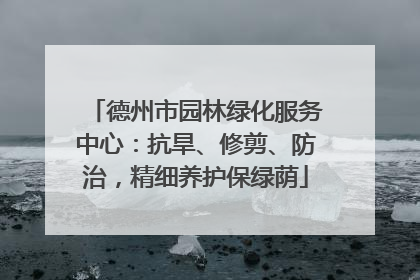 德州市园林绿化服务中心：抗旱、修剪、防治，精细养护保绿荫
