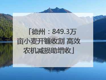 德州：849.3万亩小麦开镰收割 高效农机减损助增收