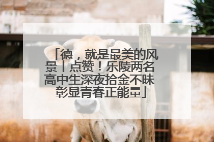 德，就是最美的风景丨点赞！乐陵两名高中生深夜拾金不昧 彰显青春正能量