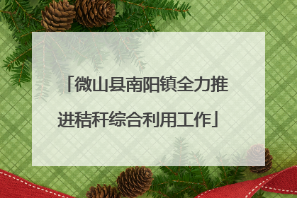 微山县南阳镇全力推进秸秆综合利用工作