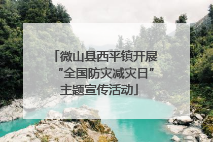 微山县西平镇开展“全国防灾减灾日”主题宣传活动
