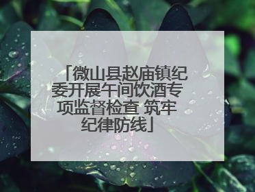 微山县赵庙镇纪委开展午间饮酒专项监督检查 筑牢纪律防线