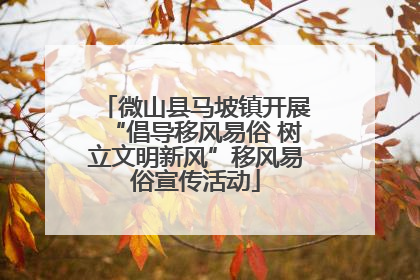 微山县马坡镇开展“倡导移风易俗 树立文明新风”移风易俗宣传活动