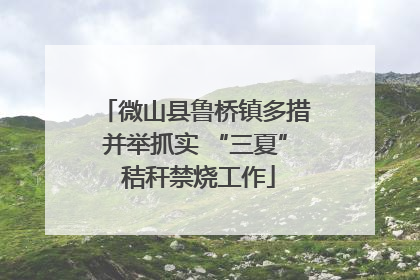 微山县鲁桥镇多措并举抓实 “三夏” 秸秆禁烧工作