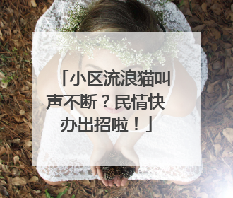 小区流浪猫叫声不断？民情快办出招啦！