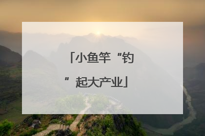 小鱼竿“钓”起大产业