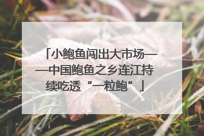 小鲍鱼闯出大市场——中国鲍鱼之乡连江持续吃透“一粒鲍”