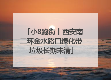 小8跑街丨西安南二环金水路口绿化带垃圾长期未清