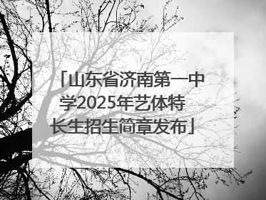 山东省济南第一中学2025年艺体特长生招生简章发布