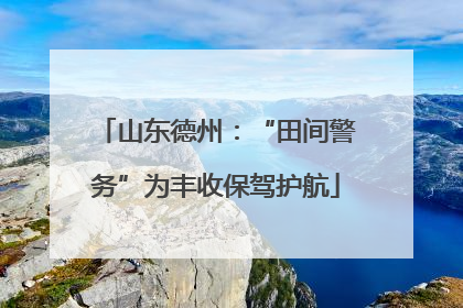 山东德州：“田间警务”为丰收保驾护航