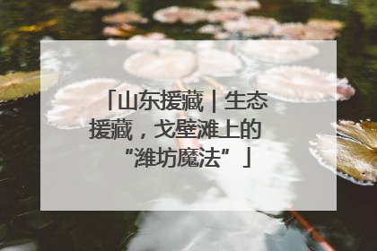山东援藏｜生态援藏，戈壁滩上的“潍坊魔法”