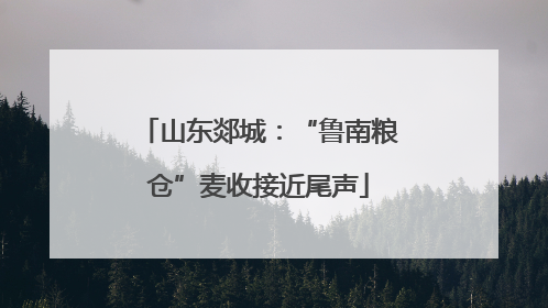 山东郯城：“鲁南粮仓”麦收接近尾声
