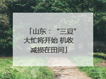山东：“三夏”大忙将开始 机收减损在田间