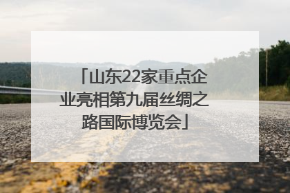 山东22家重点企业亮相第九届丝绸之路国际博览会