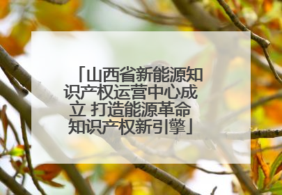 山西省新能源知识产权运营中心成立 打造能源革命知识产权新引擎