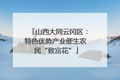 山西大同云冈区：特色优势产业催生农民“致富花”