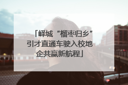 峄城“榴枣归乡”引才直通车驶入校地企共赢新航程