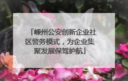 嵊州公安创新企业社区警务模式，为企业集聚发展保驾护航