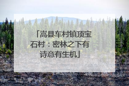 嵩县车村镇顶宝石村：密林之下有诗意有生机