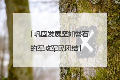 巩固发展坚如磐石的军政军民团结