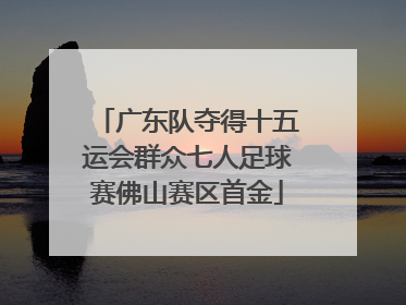 广东队夺得十五运会群众七人足球赛佛山赛区首金