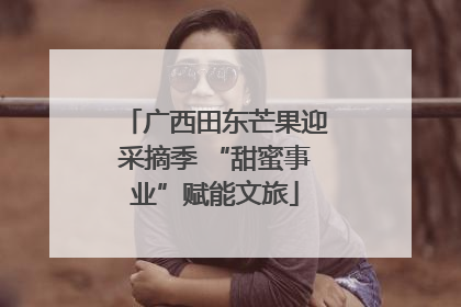广西田东芒果迎采摘季 “甜蜜事业”赋能文旅