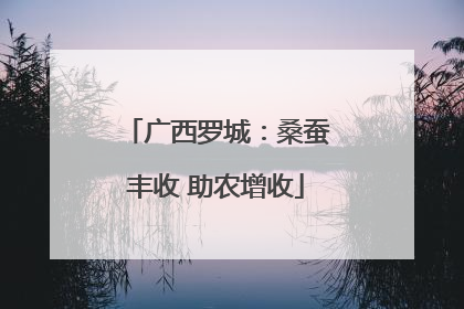广西罗城：桑蚕丰收 助农增收