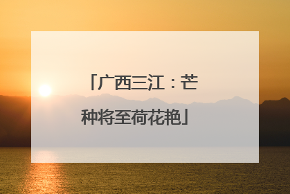 广西三江：芒种将至荷花艳