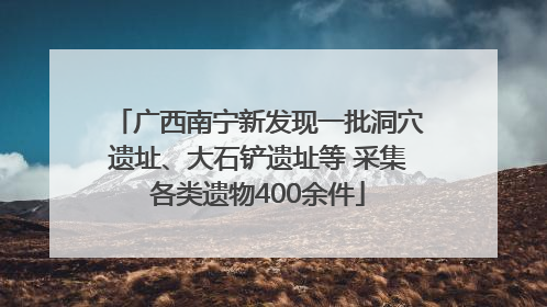 广西南宁新发现一批洞穴遗址、大石铲遗址等 采集各类遗物400余件