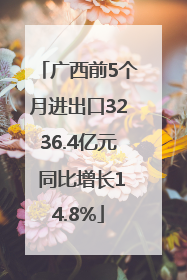 广西前5个月进出口3236.4亿元 同比增长14.8%