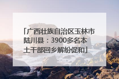 广西壮族自治区玉林市陆川县：3900多名本土干部回乡解纷促和