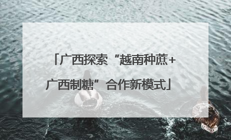 广西探索“越南种蔗+广西制糖”合作新模式