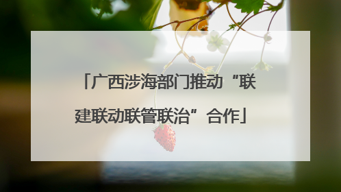 广西涉海部门推动“联建联动联管联治”合作
