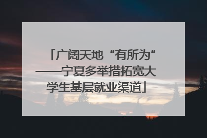 广阔天地“有所为”——宁夏多举措拓宽大学生基层就业渠道