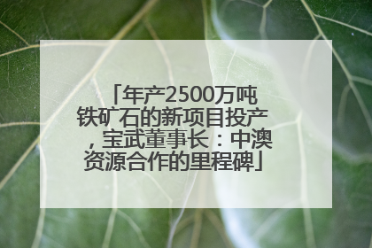 年产2500万吨铁矿石的新项目投产，宝武董事长：中澳资源合作的里程碑