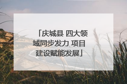 庆城县 四大领域同步发力 项目建设赋能发展