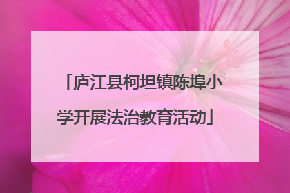 庐江县柯坦镇陈埠小学开展法治教育活动