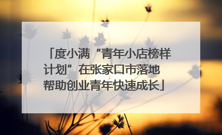 度小满“青年小店榜样计划”在张家口市落地 帮助创业青年快速成长