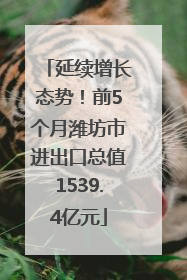延续增长态势！前5个月潍坊市进出口总值1539.4亿元