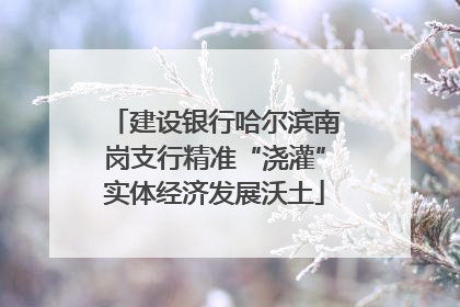 建设银行哈尔滨南岗支行精准“浇灌”实体经济发展沃土