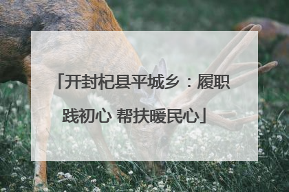 开封杞县平城乡：履职践初心 帮扶暖民心