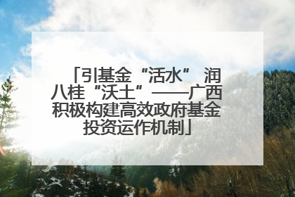 引基金“活水” 润八桂“沃土”——广西积极构建高效政府基金投资运作机制